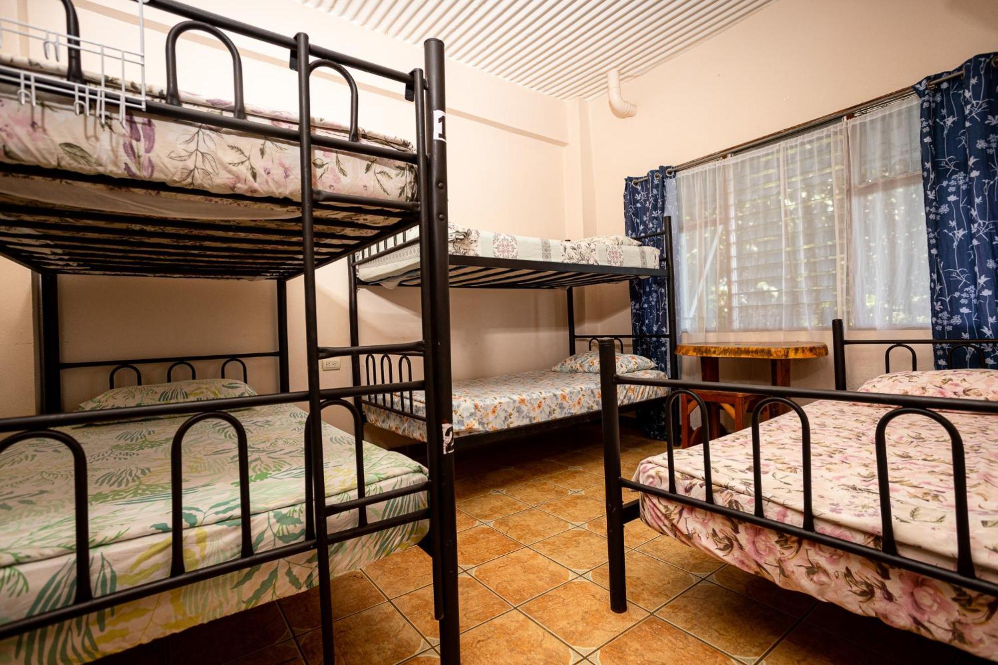 Manuel Antonio Hostel Εξωτερικό φωτογραφία