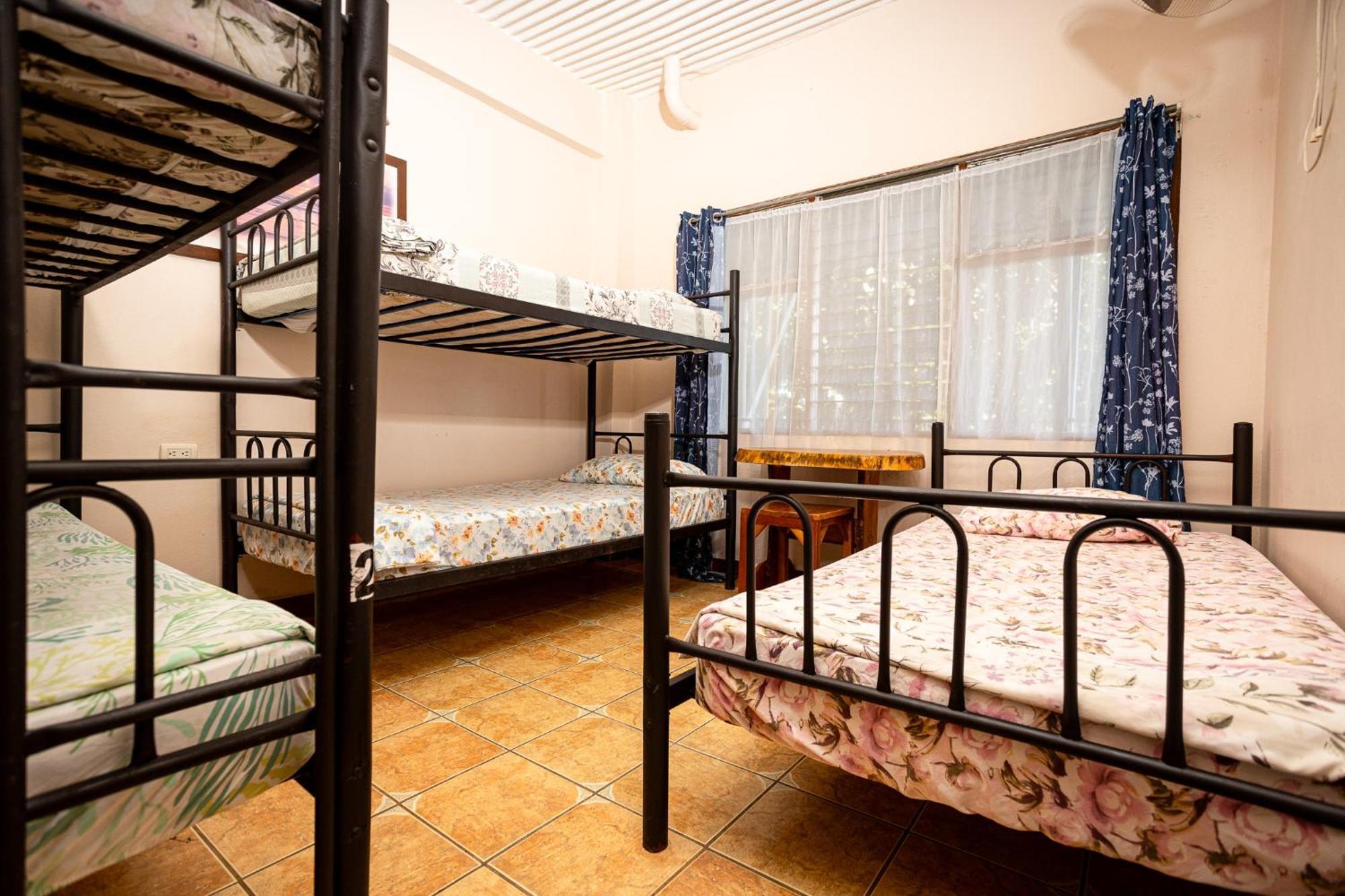 Manuel Antonio Hostel Εξωτερικό φωτογραφία